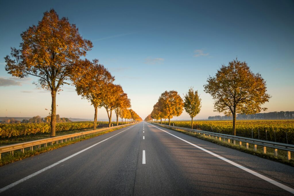 Empty paved road stretching toward the horizon, lined with trees on both sides, a quintessential road trip scene