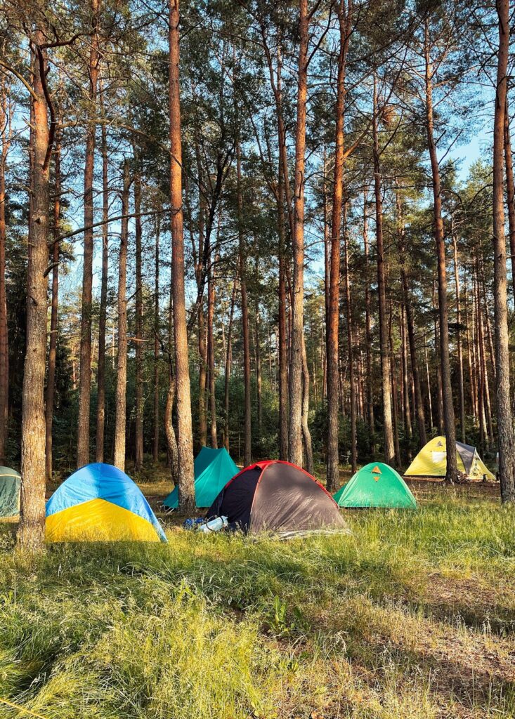 National park camping reservations: a colorful dome tent pitched at a forest campsite